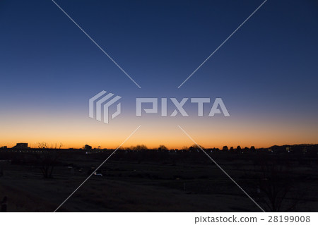 多摩川黎明 28199008