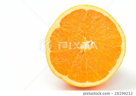 Navel Orange 28199212