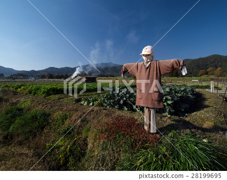 鄉村景觀 鄉村景觀 28199695