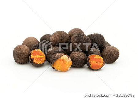 Asafran De Bolita: Azafran de Boilta (Ditaxis heteranth) 28199792