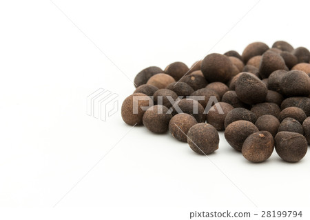 Asafran De Bolita：Azafran de Boilta（Ditaxis heteranth） 28199794