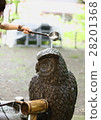 Water-blowing owl Water-blowing owl 28201368
