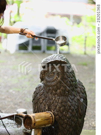 Water-blowing owl 28201368