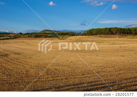 Picturesque landscape of Spain Picturesque landscape of Spain 28201577