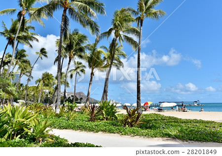 Holidays in Hawaii 28201849