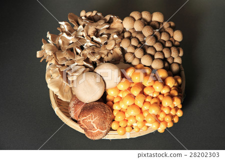 什錦蘑菇 28202303