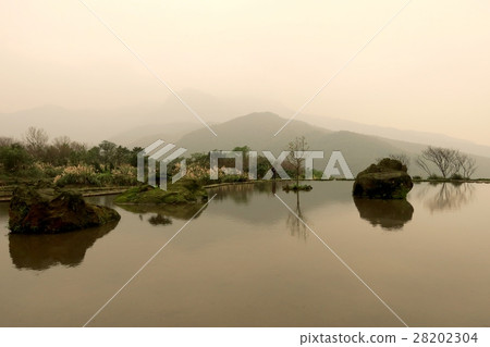 八煙水田 28202304