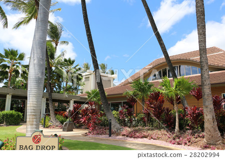 Hawaii's golf course 28202994