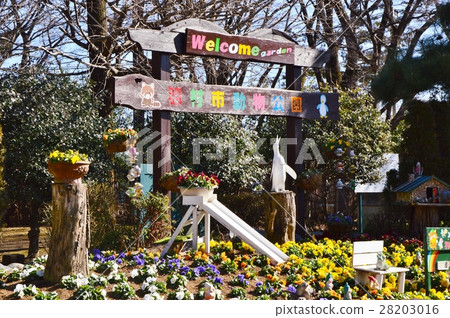 Spring of Hamura shi zoo park is Tama 28203016