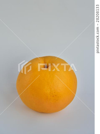 梨 梨 28208133