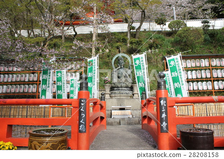 Kinu Ridai Bridge and cherry blossoms Kinu Ridai Bridge and cherry blossoms 28208158