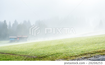 Morining green grass field in Oberammergau Morining green grass field in Oberammergau 28208253