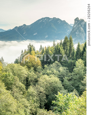 Kolbensattel near Oberammergau scenes Kolbensattel near Oberammergau scenes 28208264