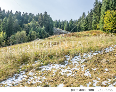 Kolbensattel near Oberammergau scenes Kolbensattel near Oberammergau scenes 28208290