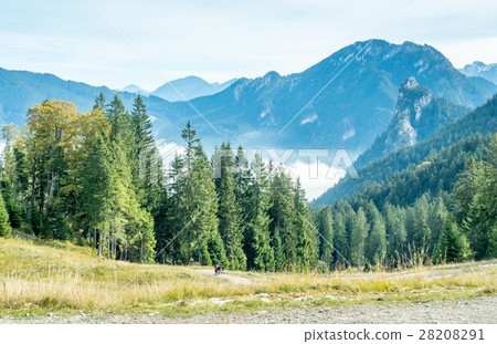 Kolbensattel near Oberammergau scenes Kolbensattel near Oberammergau scenes 28208291
