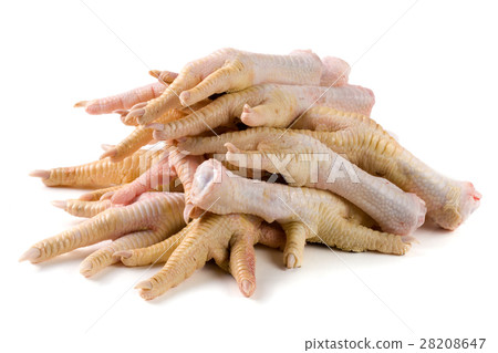 bunch of chicken feet isolated on white background 28208647
