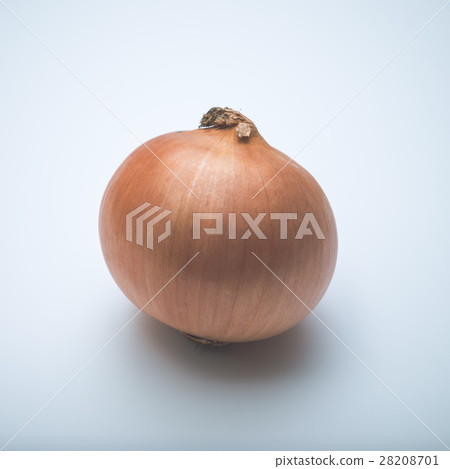 Onion 28208701
