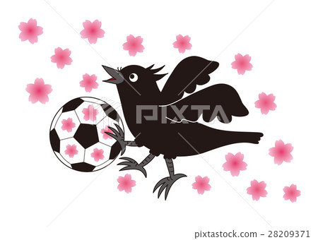八隻烏鴉和櫻花 八隻烏鴉和櫻花 28209371