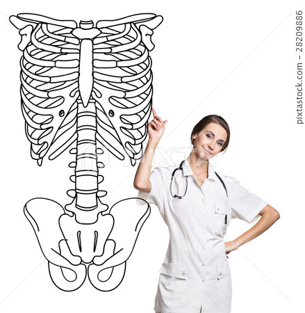 Doctor woman pointing on drawing human skeleton. Doctor woman pointing on drawing human skeleton. 28209886