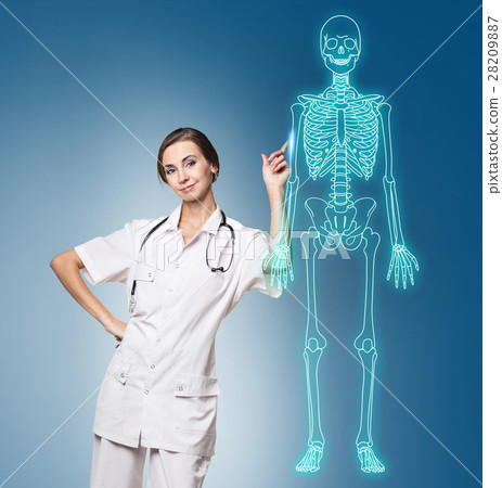 Doctor woman pointing on drawing human skeleton. 28209887