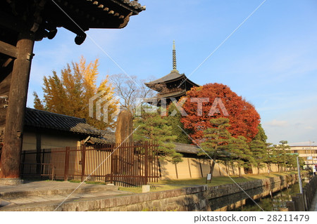 Toji Temple世界遺產京都 Toji Temple世界遺產京都 28211479