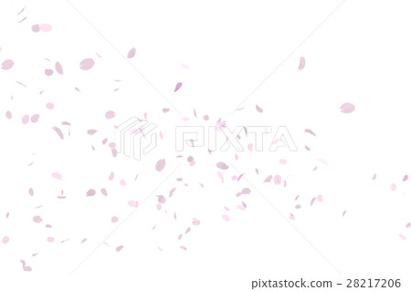 SakuraFubuki SakuraFubuki 28217206