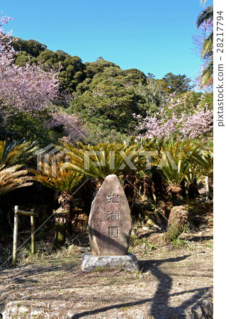 Minamiboso市和田町的Hukoen花園 Minamiboso市和田町的Hukoen花園 28217794