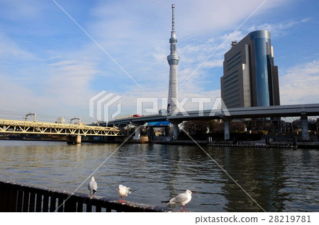 A sky tree lying in blue sky and Sumida ward office 28219781