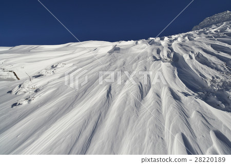 Shukabula（風模式） 28220189