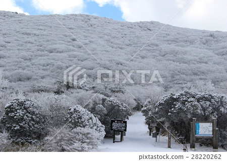 Ice cream on the Makinoido Pass 28220262