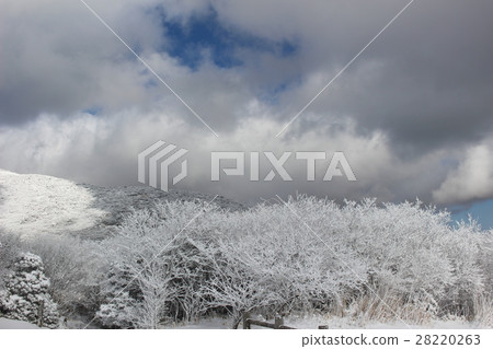Ice cream on the Makinoido Pass 28220263