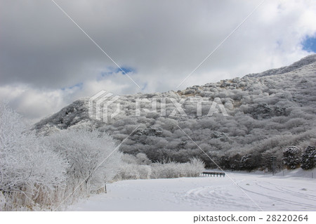 Makinoido通行證上的冰淇淋 28220264