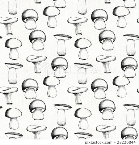 Hand drawn seamless pattern with mushrooms. Hand drawn seamless pattern with mushrooms. 28220844