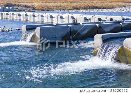 Tamagawa river 4 28220922