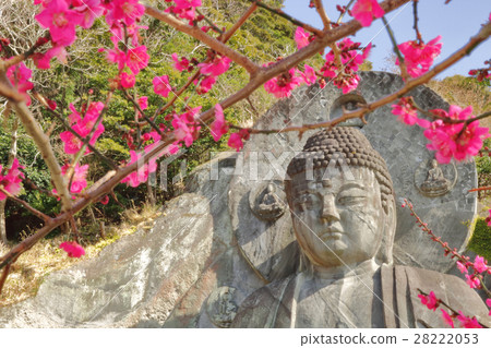 [千葉] Nihonji Daibutsu和Nokogiri山上的梅花 28222053