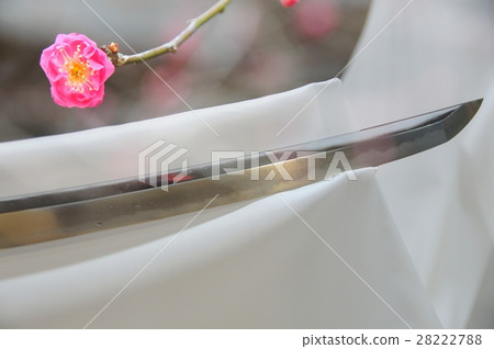 Japanese sword and plum 28222788