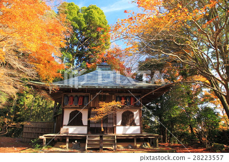 Fall of Kinu Temple 28223557