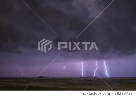 Thunder  28223732