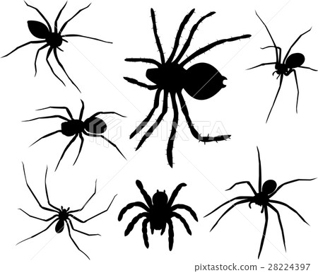Spiders silhouettes collection 28224397