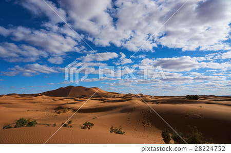 摩洛哥撒哈拉沙漠Merzouga沙丘 28224752