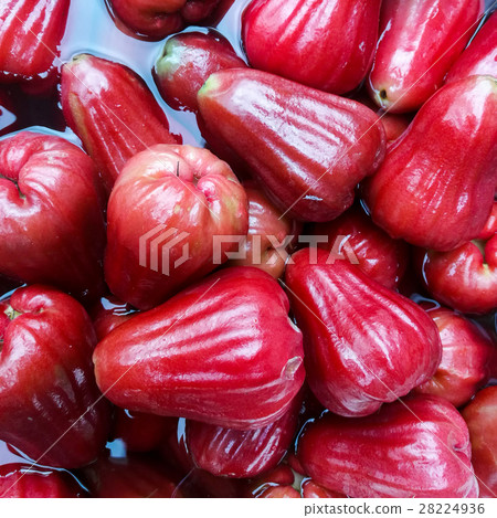 Stack of fresh Red rose apple Stack of fresh Red rose apple 28224936