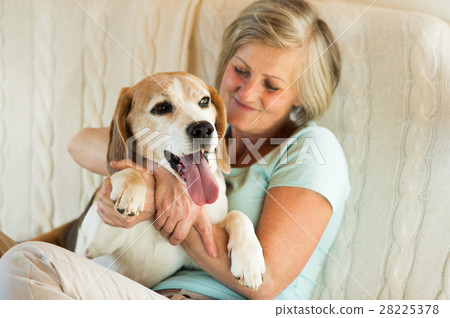 Senior woman with her dog at home relaxing 28225378