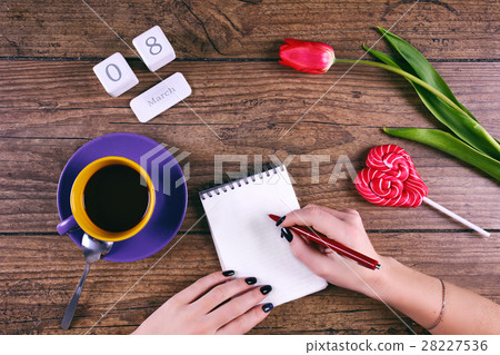 Moman hands writing greetings. Pink Tulip Flower Moman hands writing greetings. Pink Tulip Flower 28227536