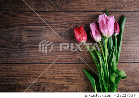 Pink Tulip Flowers on rustic table for March 8 28227537