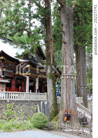 Misumi Shrine Honten和God Misumi Shrine Honten和God 28227741