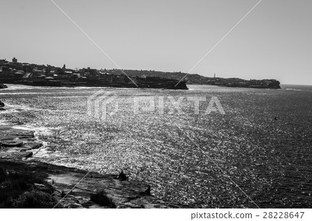 Cliff landscape in Sydney 28228647