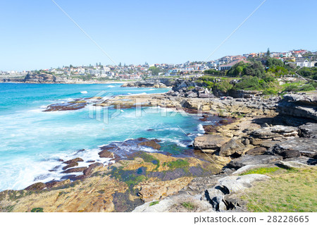 Mackenzies bay in Sydney 28228665