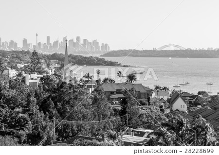 Cliffs at Watsons bay Sydney Cliffs at Watsons bay Sydney 28228699