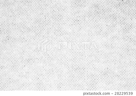 Black and white texture of hardboard 28229539