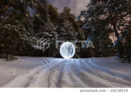 Luminous sphere in a night winter forest Luminous sphere in a night winter forest 28230619